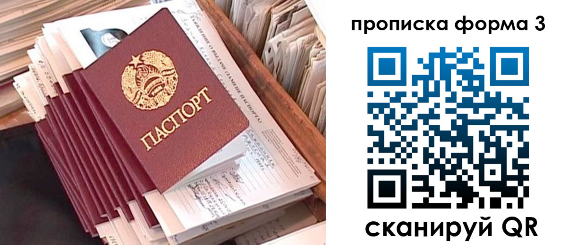 прописка гарантия в Черногорске